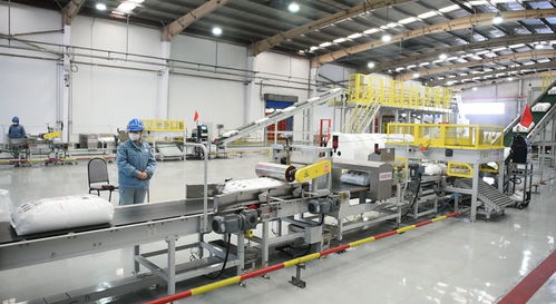 日产600吨，青岛炼化全力增产医卫用品原料