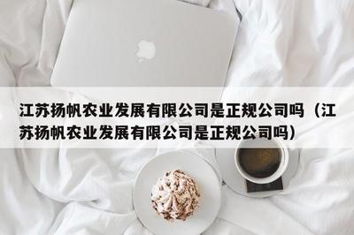 探析江苏扬帆服饰 聚焦针纺织品及原料销售的综合实力
